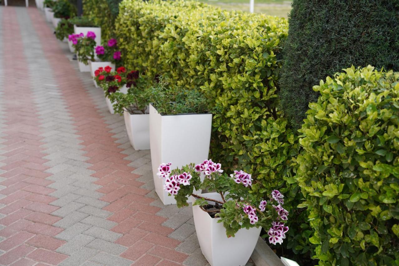 Apartments Costa Azzurra Velipojë Екстериор снимка